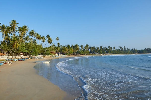 Hotel Dickwella Resort and Spa (Beliatta)